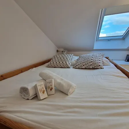 Spacieux Duplex A 6 Pers Comfort * Villeurbanne
